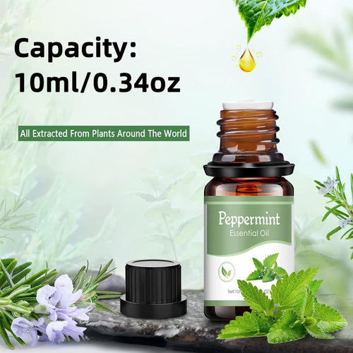 10ml Water-Soluble Essential Oil for Aromatherapy and Humidifiers